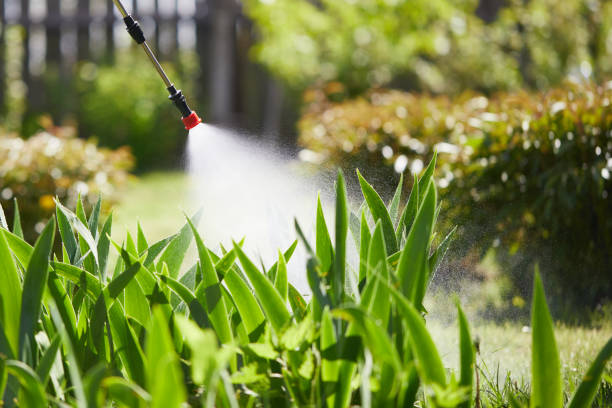 24/7 Emergency Wasp Removal experts in Farley, KY