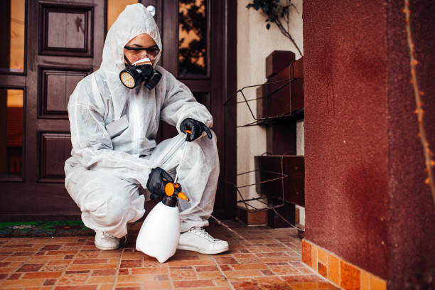 Reliable Wasp Removal contractor in Farley, KY by Show Me Pest Control